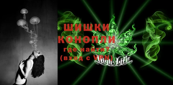 молекула духа Зеленодольск