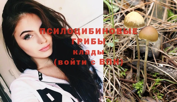 ГАЛЛЮЦИНОГЕННЫЕ ГРИБЫ Зеленокумск
