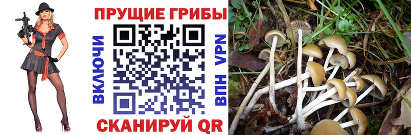Псилоцибиновые грибы Magic Shrooms Серпухов